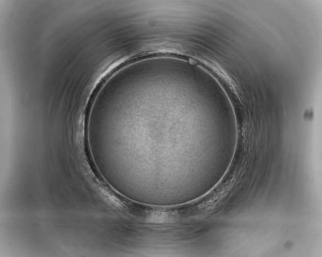 X0000099560790200805161451