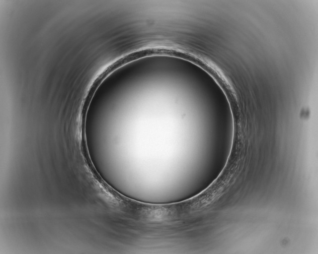 X0000099560791200805161451