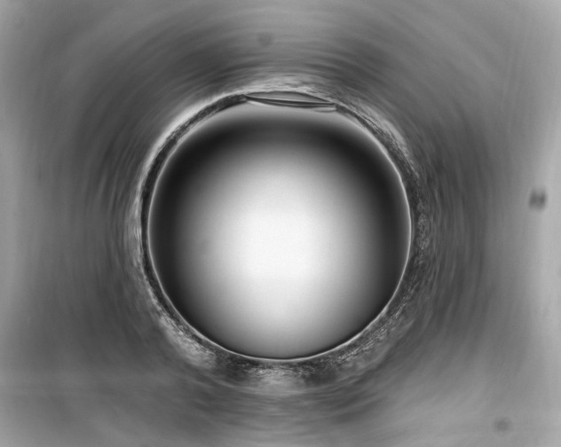 X0000099560792200805161451