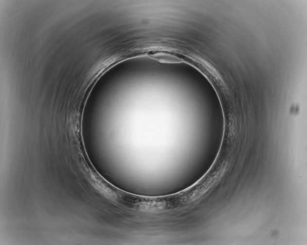 X0000099560793200805161451