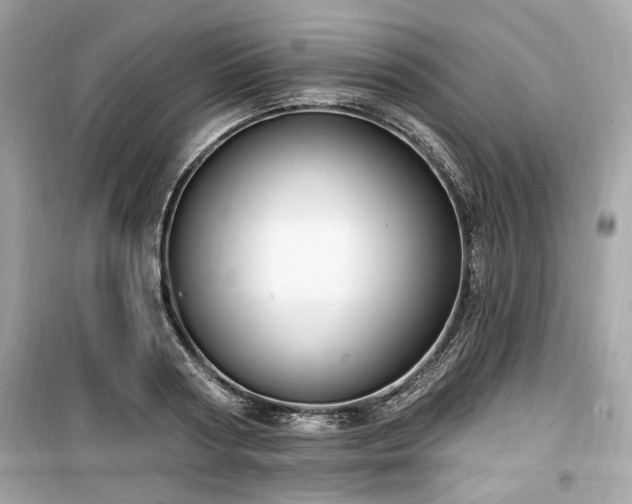 X0000099560794200805161451