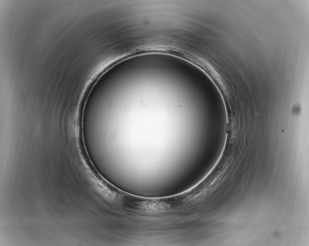 X0000099560795200805161451