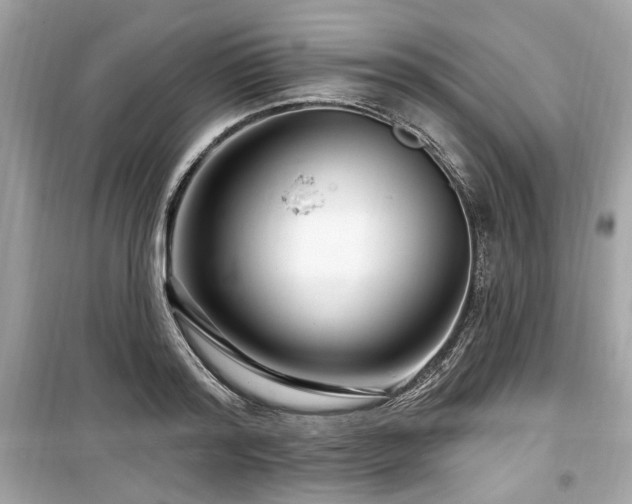 X0000099560796200805161451