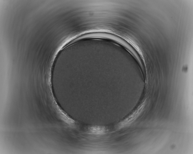 X0000099560797200805161451