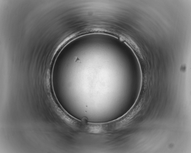 X0000099560798200805161451