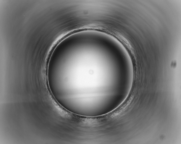 X0000099560800200805161451