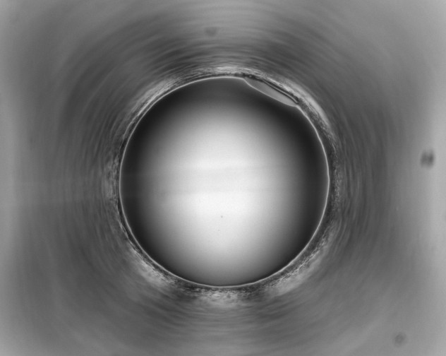 X0000099560801200805161451