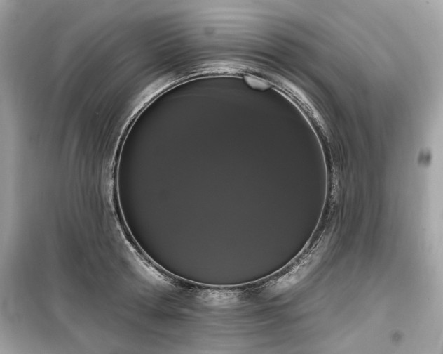 X0000099560802200805161451