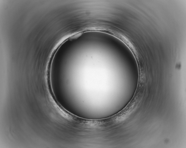 X0000099560803200805161451