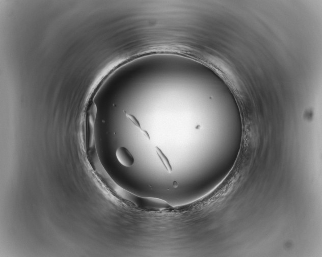 X0000099560804200805161451