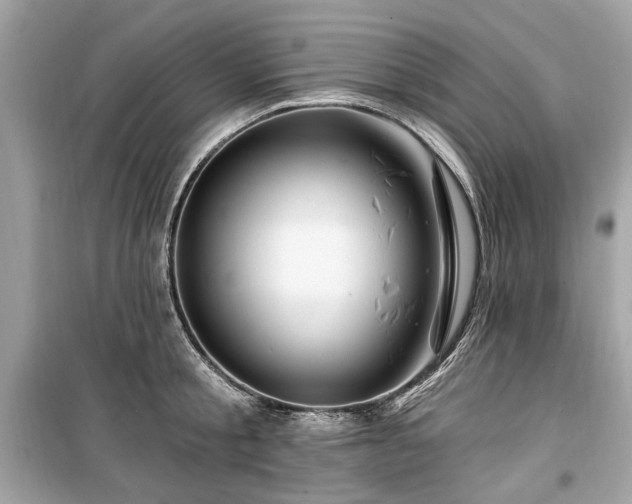 X0000099560805200805161451