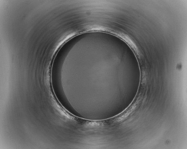 X0000099560806200805161451