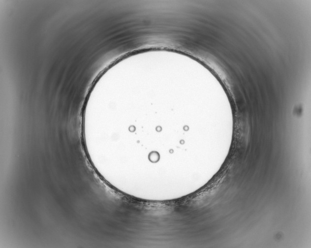 X0000099560807200805161451