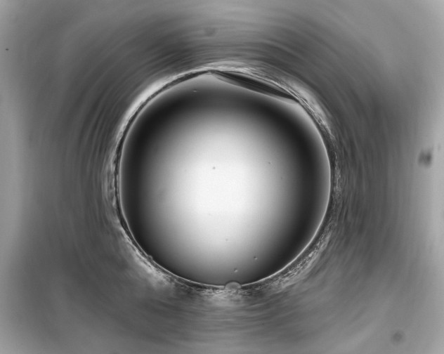 X0000099560808200805161451