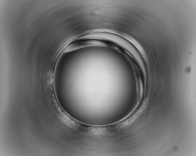 X0000099560809200805161451