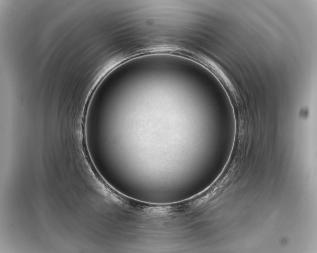 X0000099560810200805161451