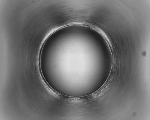 X0000099560811200805161451