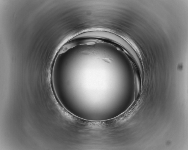 X0000099560813200805161451