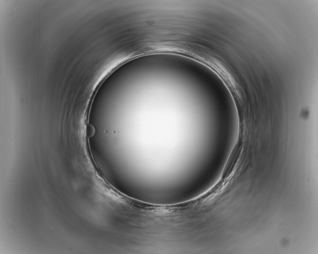 X0000099560814200805161451