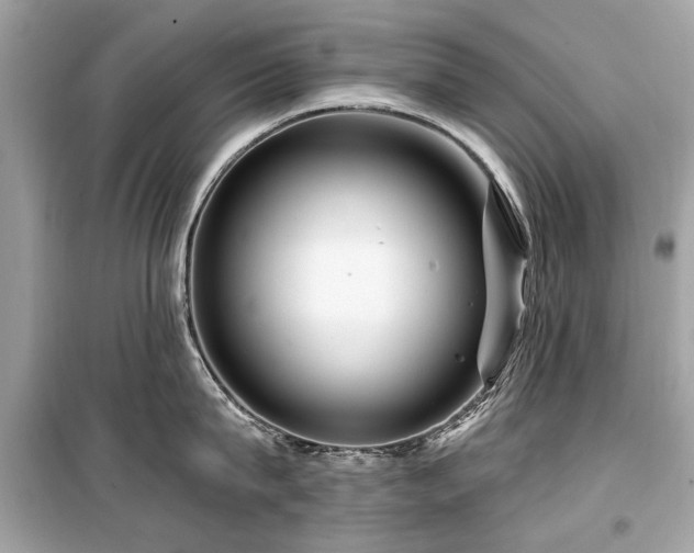 X0000099560815200805161451