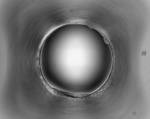 X0000099560816200805161451