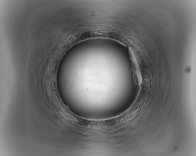 X0000099560817200805161450