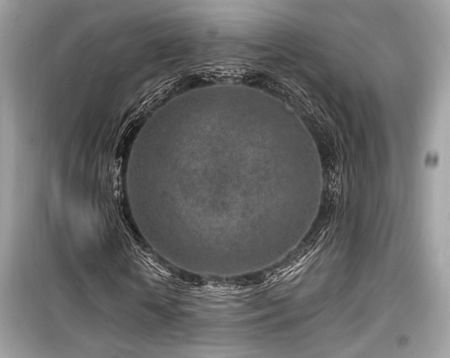 X0000099560818200805161450