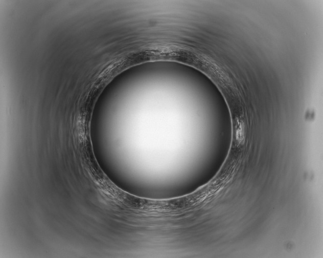 X0000099560819200805161450