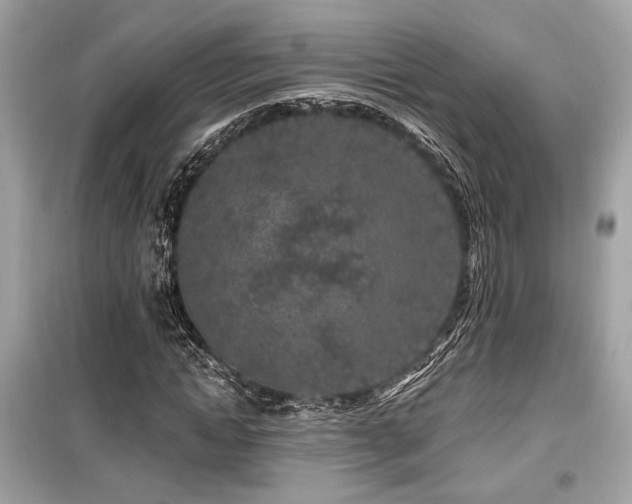 X0000099560822200805161450