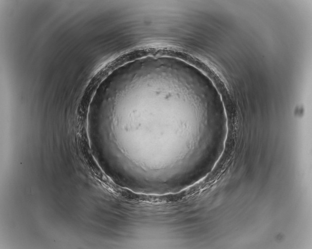 X0000099560823200805161450