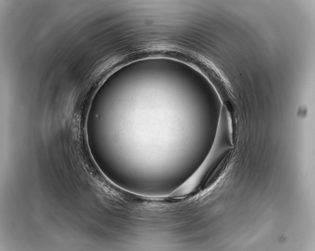 X0000099560825200805161450