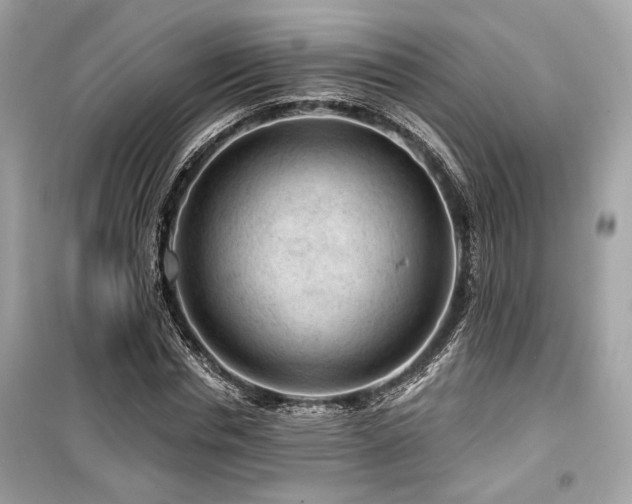 X0000099560826200805161450