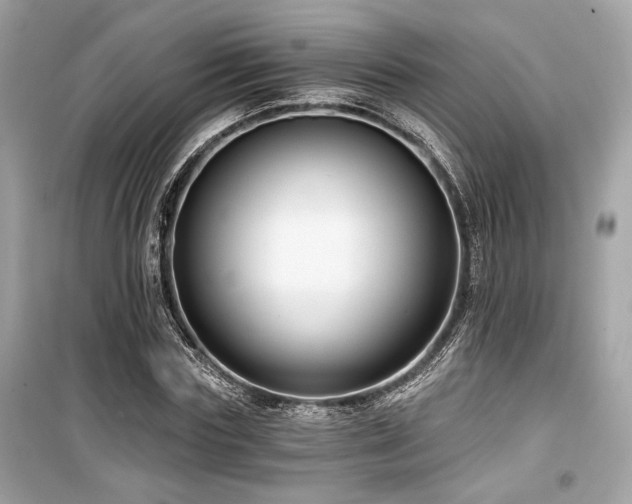 X0000099560827200805161450