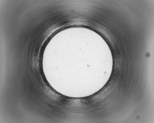 X0000099560828200805161450