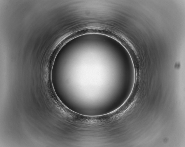 X0000099560829200805161450