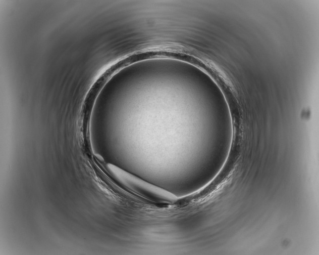 X0000099560830200805161450