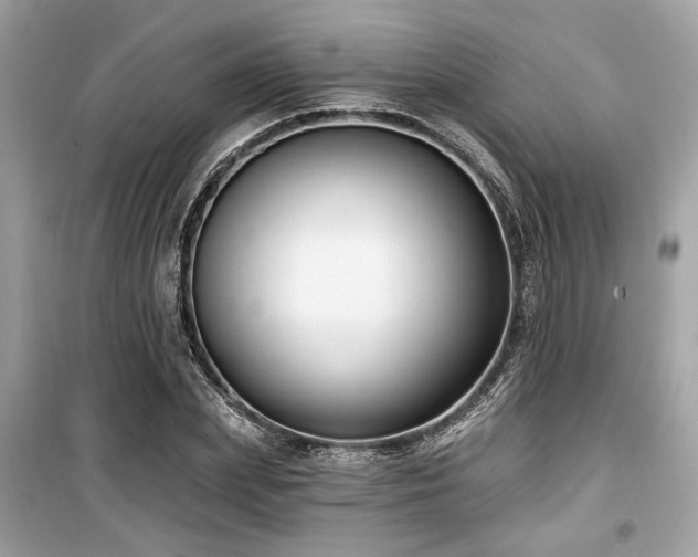 X0000099560831200805161450