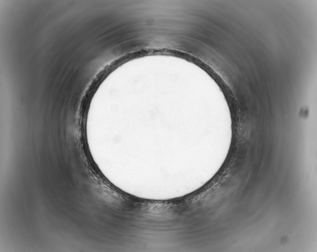 X0000099560832200805161450