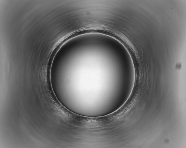 X0000099560834200805161450