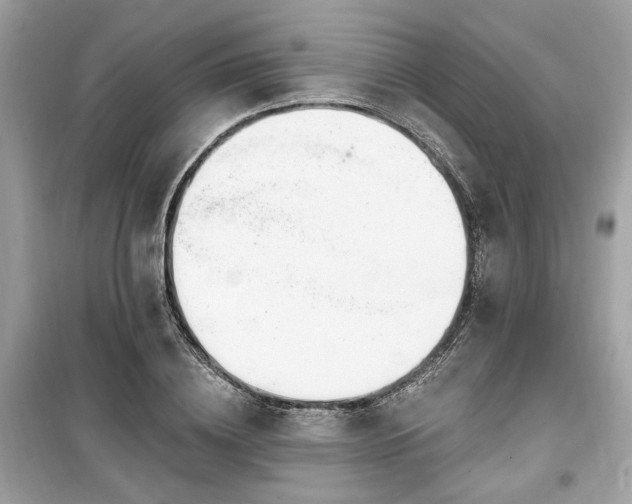 X0000099560836200805161450