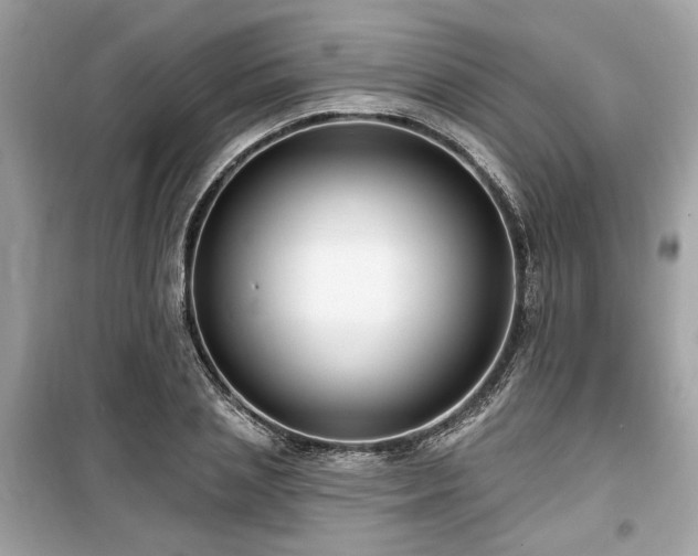 X0000099560837200805161450