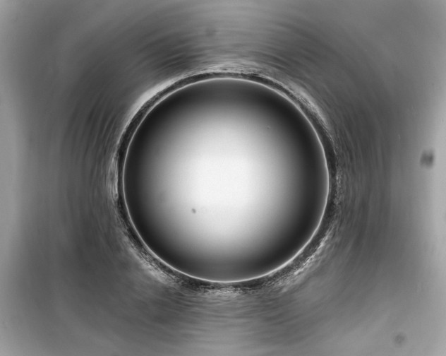 X0000099560838200805161450