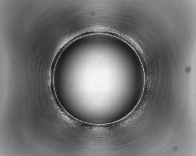 X0000099560839200805161450