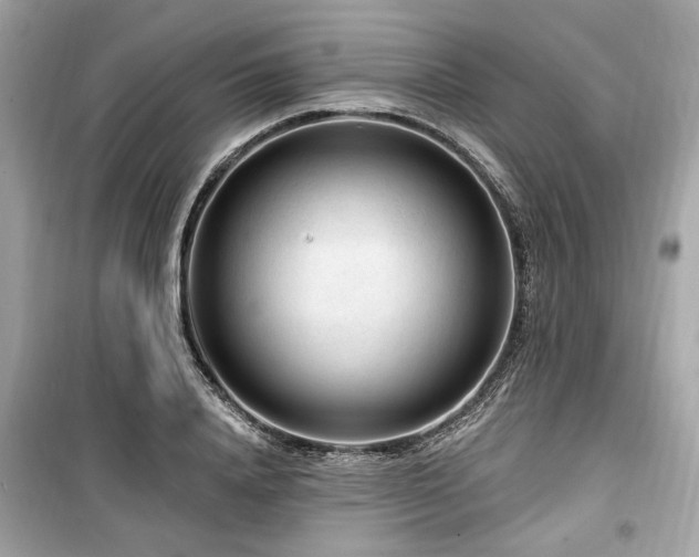 X0000099560840200805161450