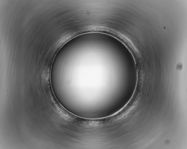 X0000099560841200805161450