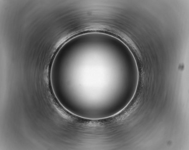 X0000099560842200805161450