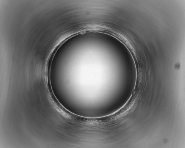 X0000099560843200805161450