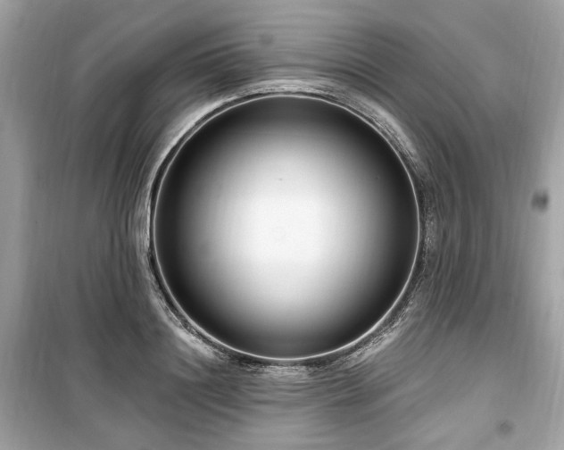 X0000099560844200805161450