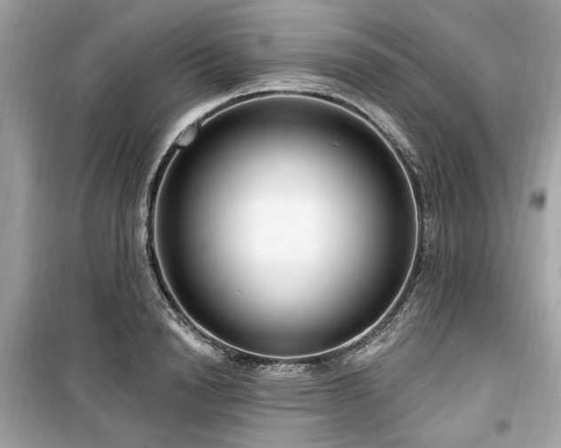 X0000099560846200805161451