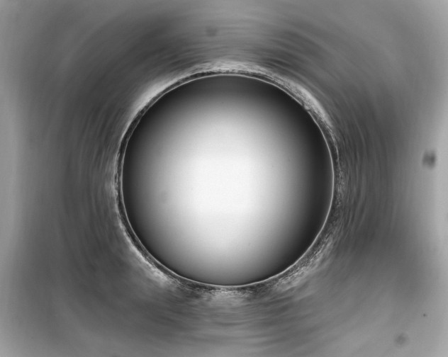 X0000099560847200805161451